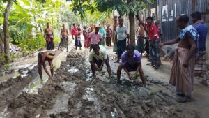রাজবাড়ীতে পাকা সড়ক নির্মাণের দাবিতে কাদা রাস্তায় ধানের চারা রোপণ