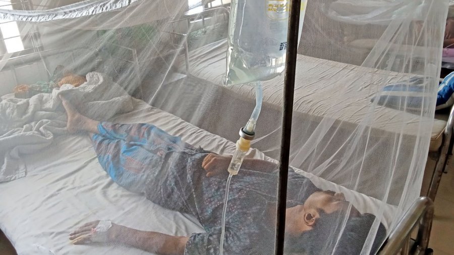 একদিনে ডেঙ্গুতে আরও ২০৪ জন হাসপাতালে ভর্তি