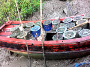 শ্যামনগরে থেকে ৬০০কেজি কাঁকড়া উদ্ধারসহ আটক-১