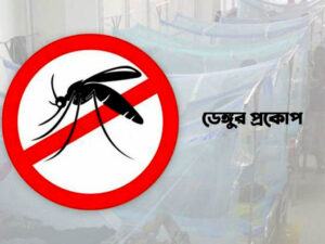 জুলাইয়ে ডেঙ্গু রোগীর সংখ্যা ১০ হাজার ছাড়ালো