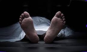 যশোরে বাসের ধাক্কায় দুইজন নিহত